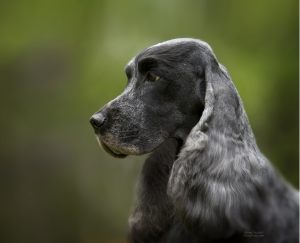 opie09