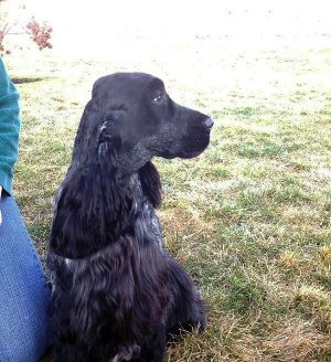 roman03