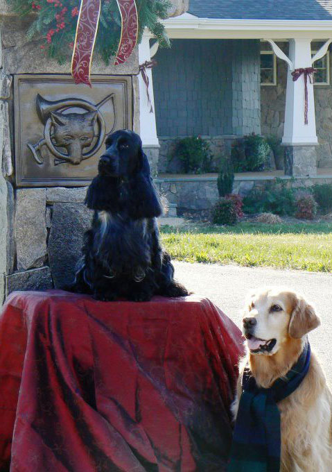 Cockers and Golden