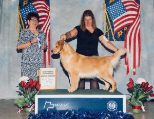 presley001