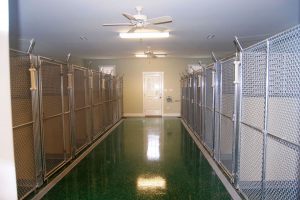 kennel03