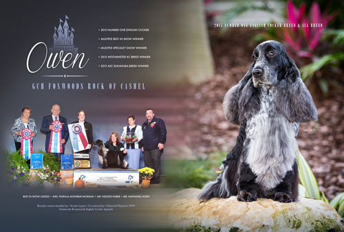 New ad for Owen